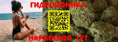 соль ск Сланцы