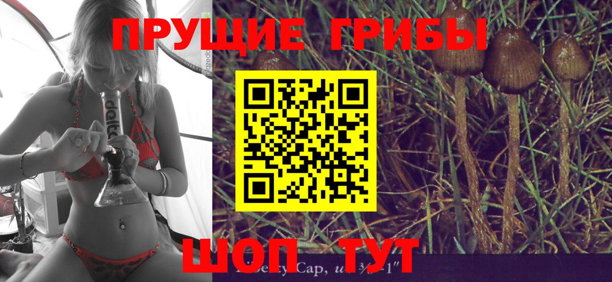 Галлюциногенные грибы Cubensis Ржев