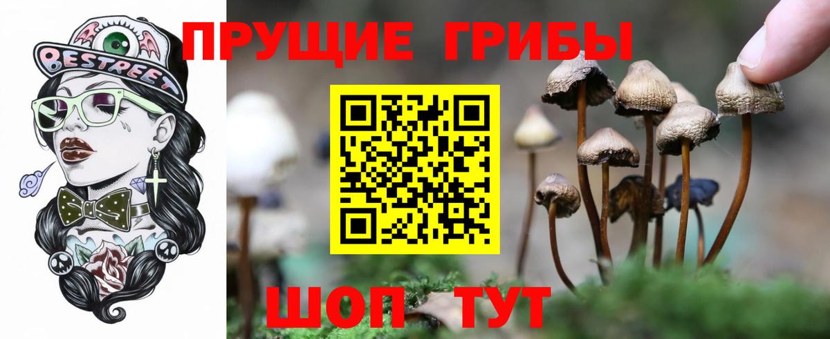 Гашиш Ржев