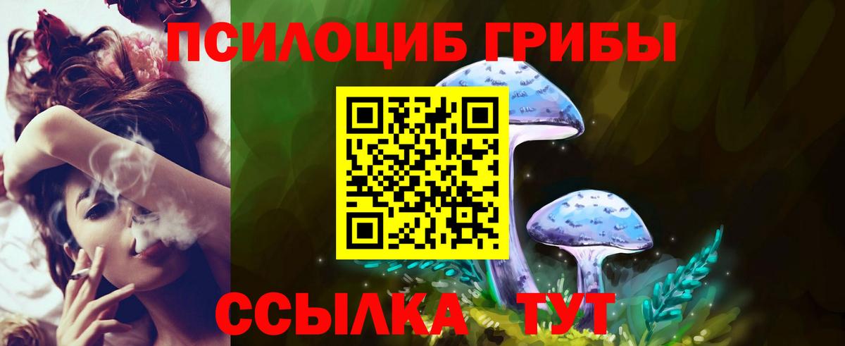 Ржев  Псилоцибиновые грибы мицелий  Вход с VPN 
