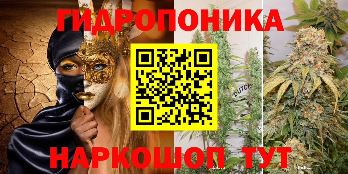 Ржев  Каннабис ГИДРОПОН  МАРИХУАНА сатива  МАРИХУАНА гибрид  Вход с VPN 